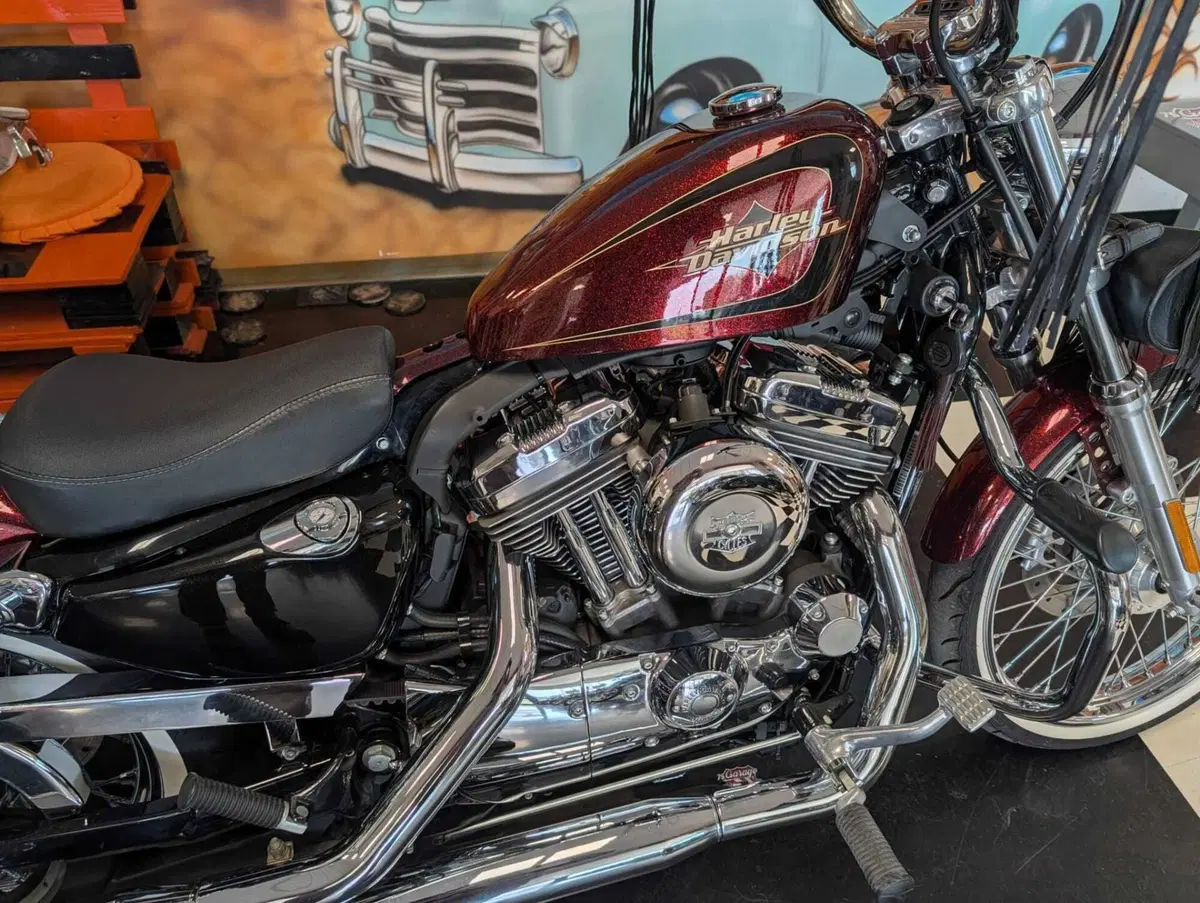 Harley-Davidson 1200 Seventy-Two (2011 - 16) (3)