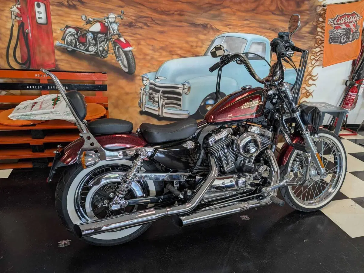 Harley-Davidson 1200 Seventy-Two (2011 - 16) (5)