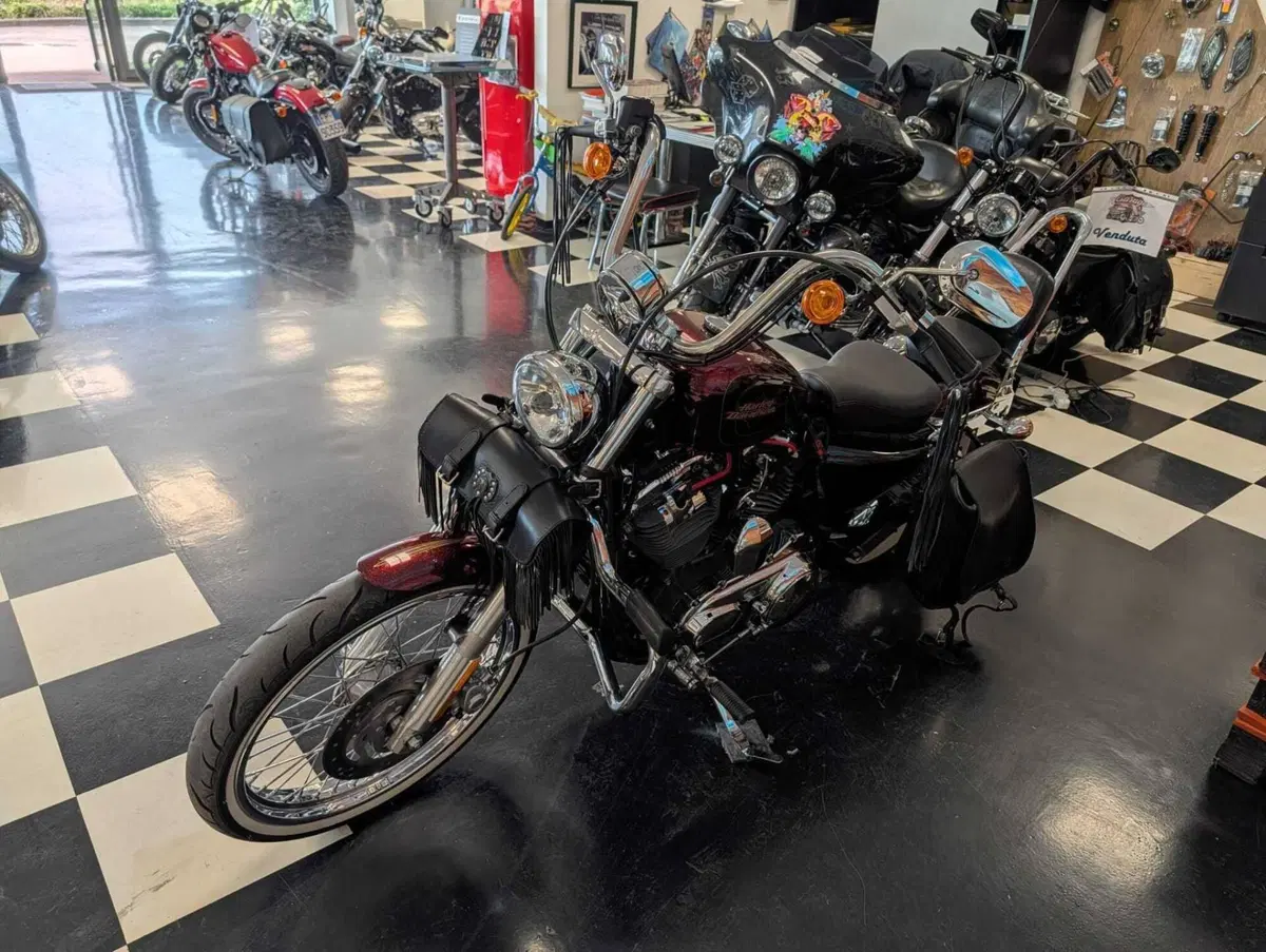 Harley-Davidson 1200 Seventy-Two (2011 - 16) (8)