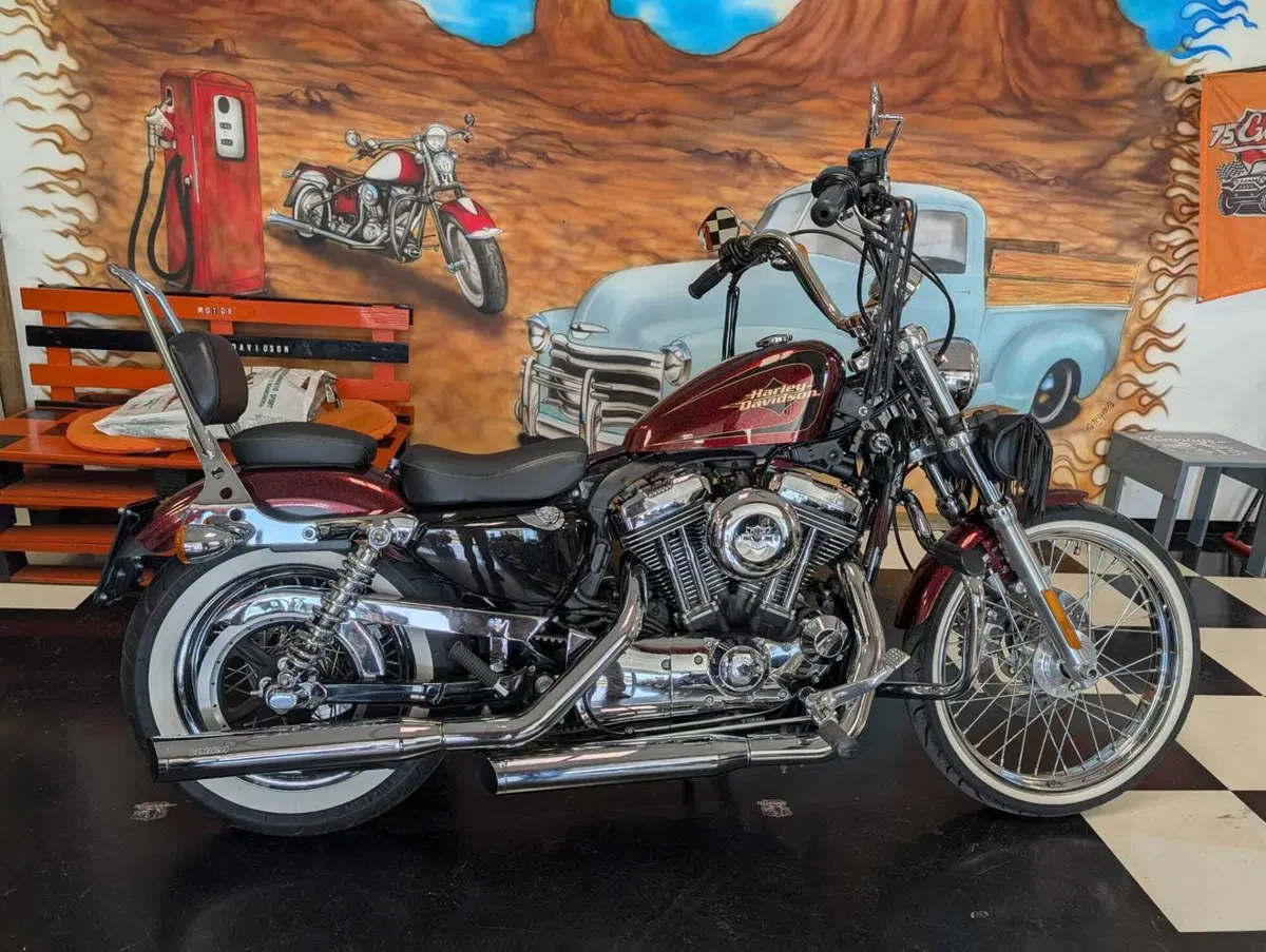 Harley-Davidson 1200 Seventy-Two (2011 - 16) (10)