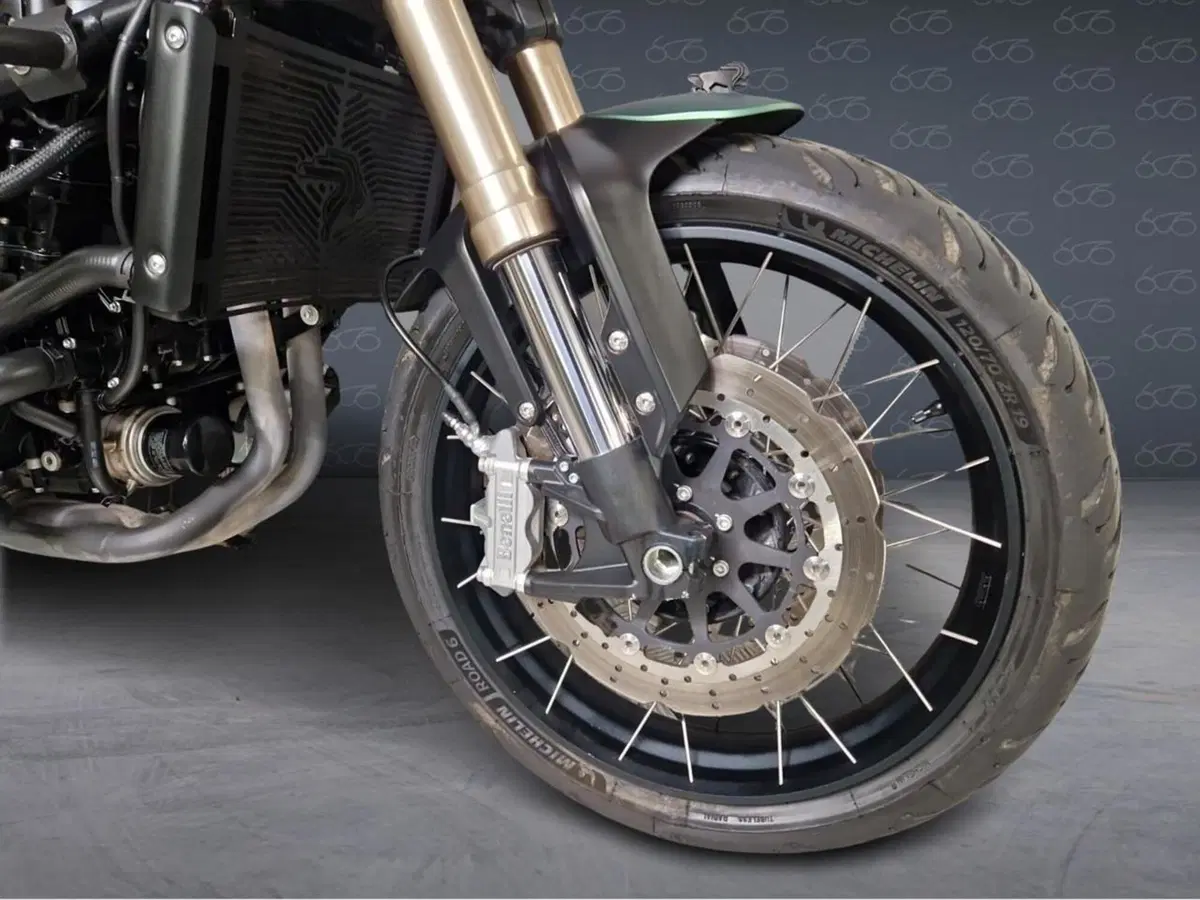 Benelli Leoncino 800 Trail (2022 - 26) (5)