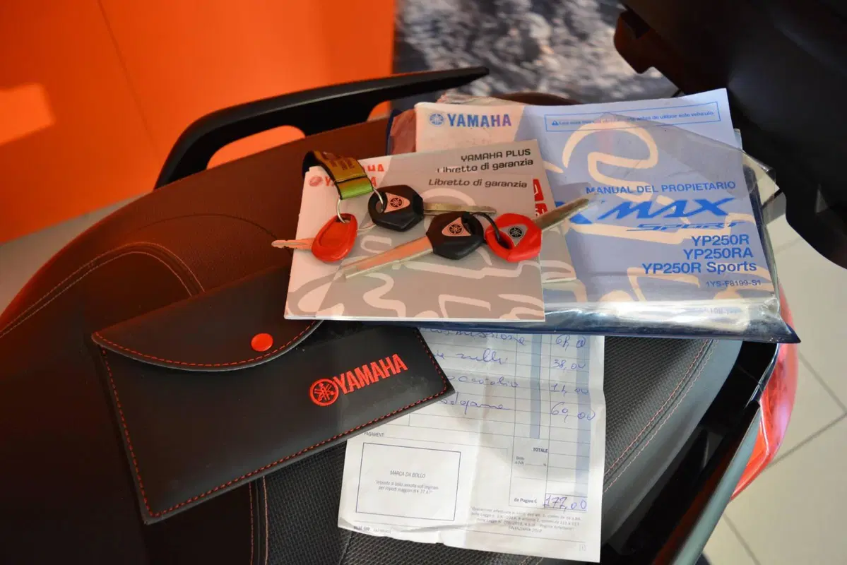 Yamaha X-Max 250 (2014 - 16) (18)