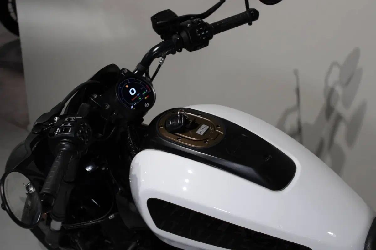 Harley-Davidson Sportster S (2022 - 24) (6)