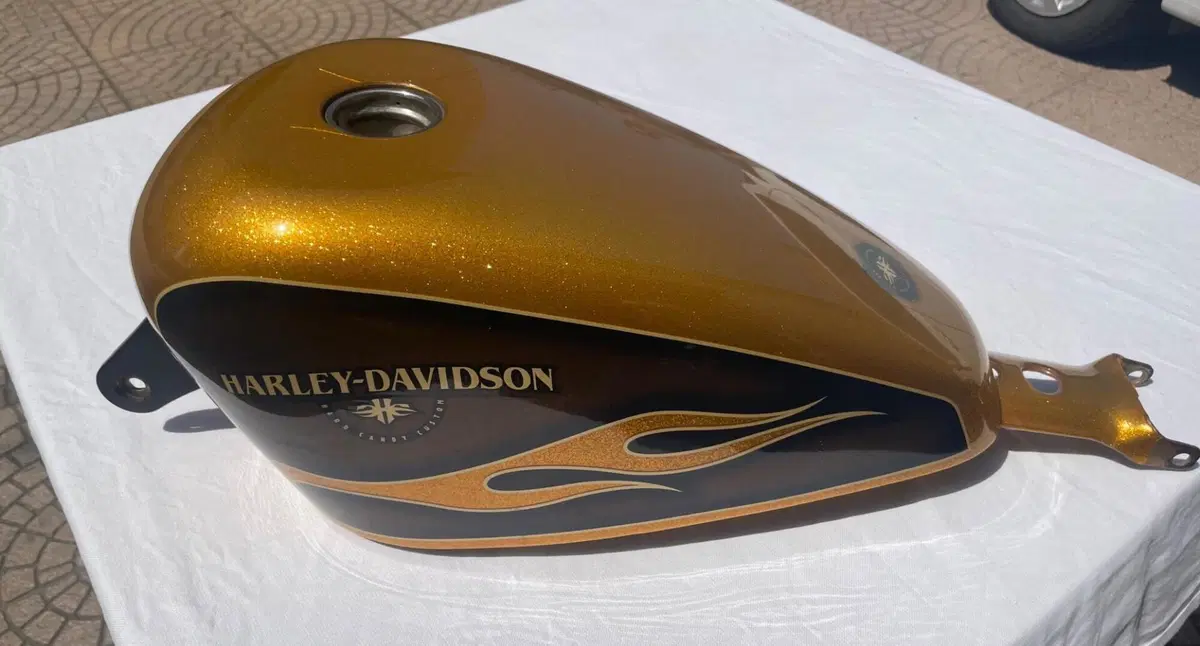 Harley-Davidson 1200 Forty-Eight (2010 - 15) (6)