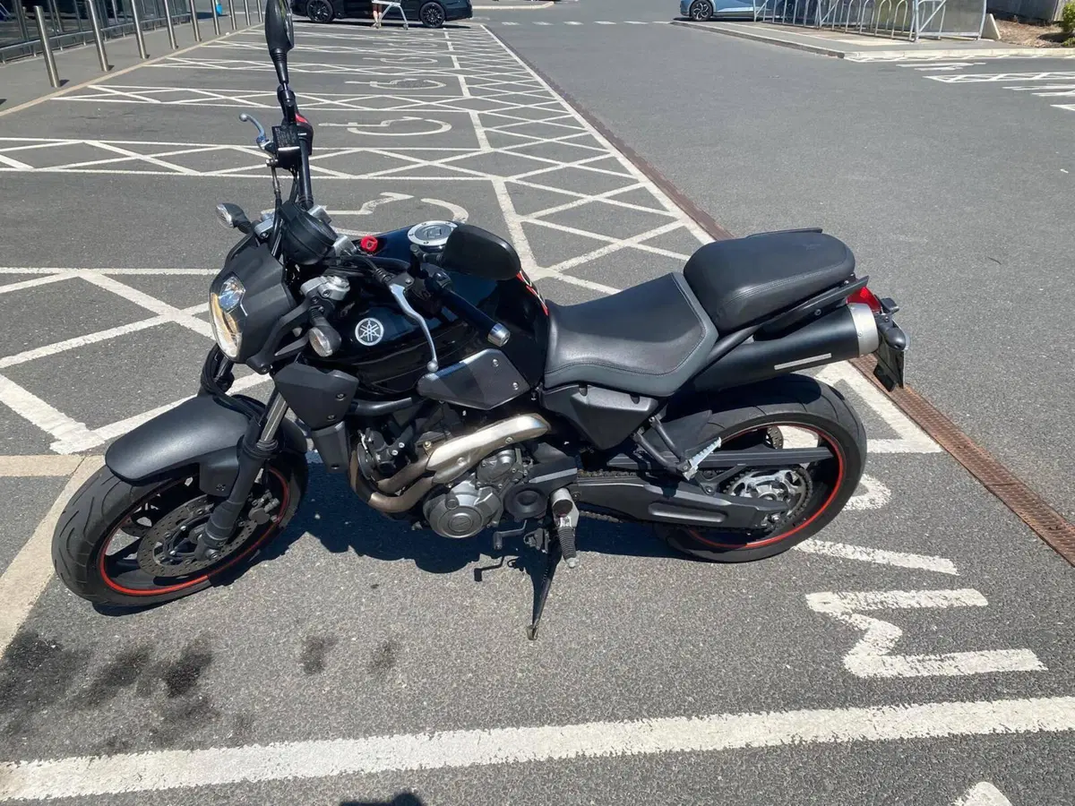 Yamaha MT-03 (2006 - 14) (3)