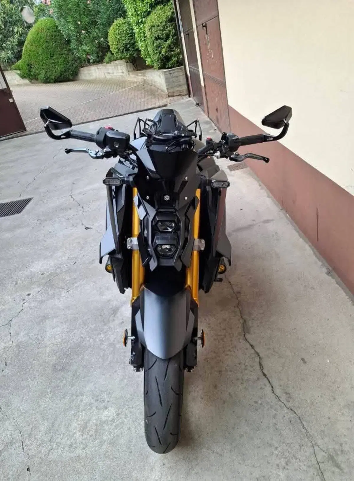 Suzuki GSX-S1000 EVO (2025 - 26) (2)