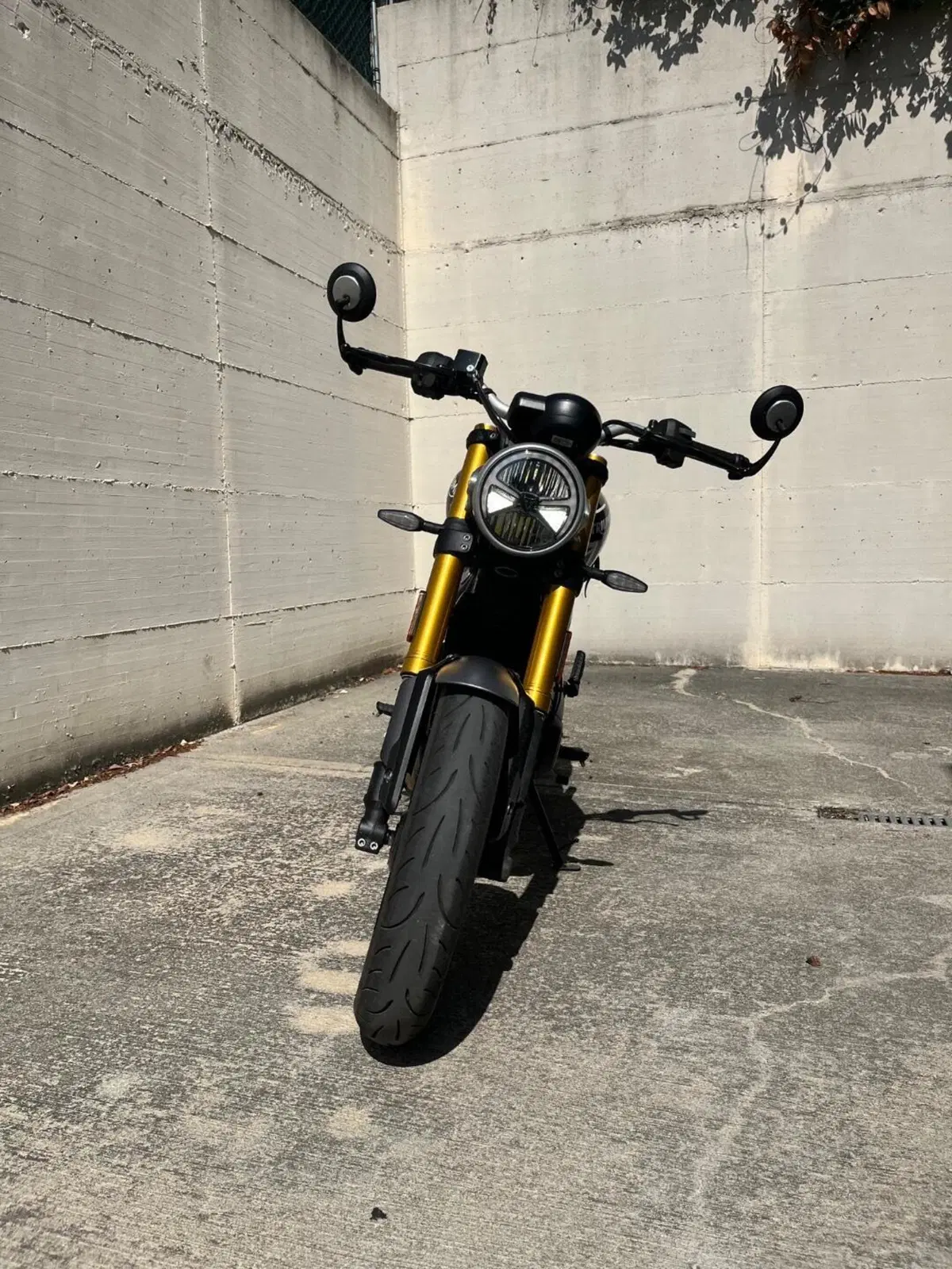 Triumph Speed 400 (2024 - 26) (5)