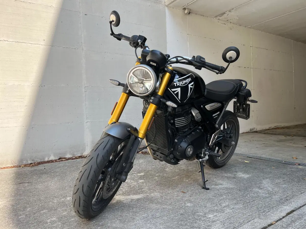 Triumph Speed 400 (2024 - 26) (8)