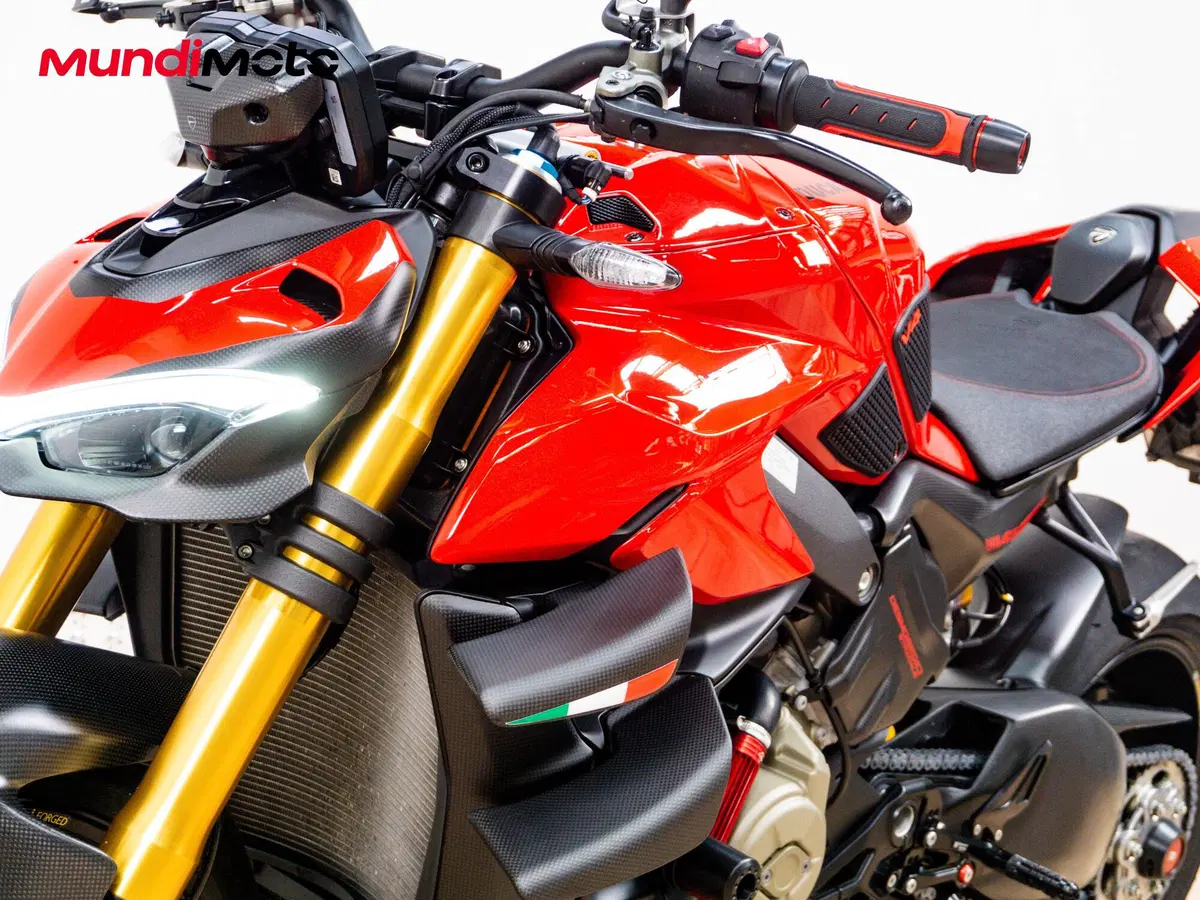 Ducati Streetfighter V4 1100 S (2020) (19)