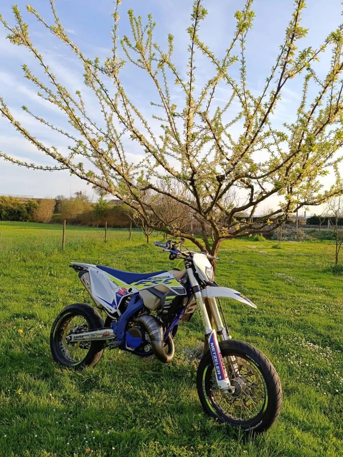 Sherco 125 SE Racing (2020) (4)