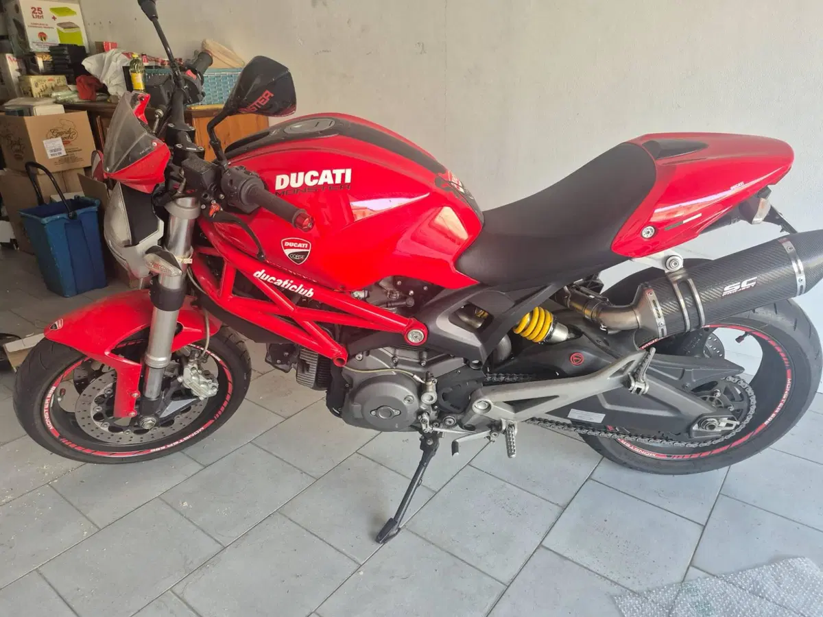 Ducati Monster 696 ABS (2009 - 14) (16)