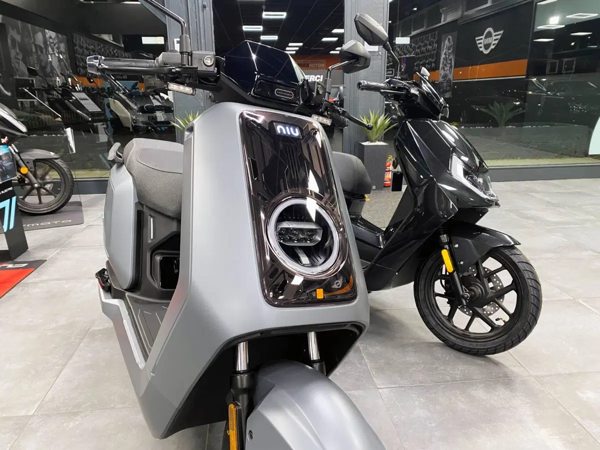 Niu NQiX 500 (2025 - 26) (7)