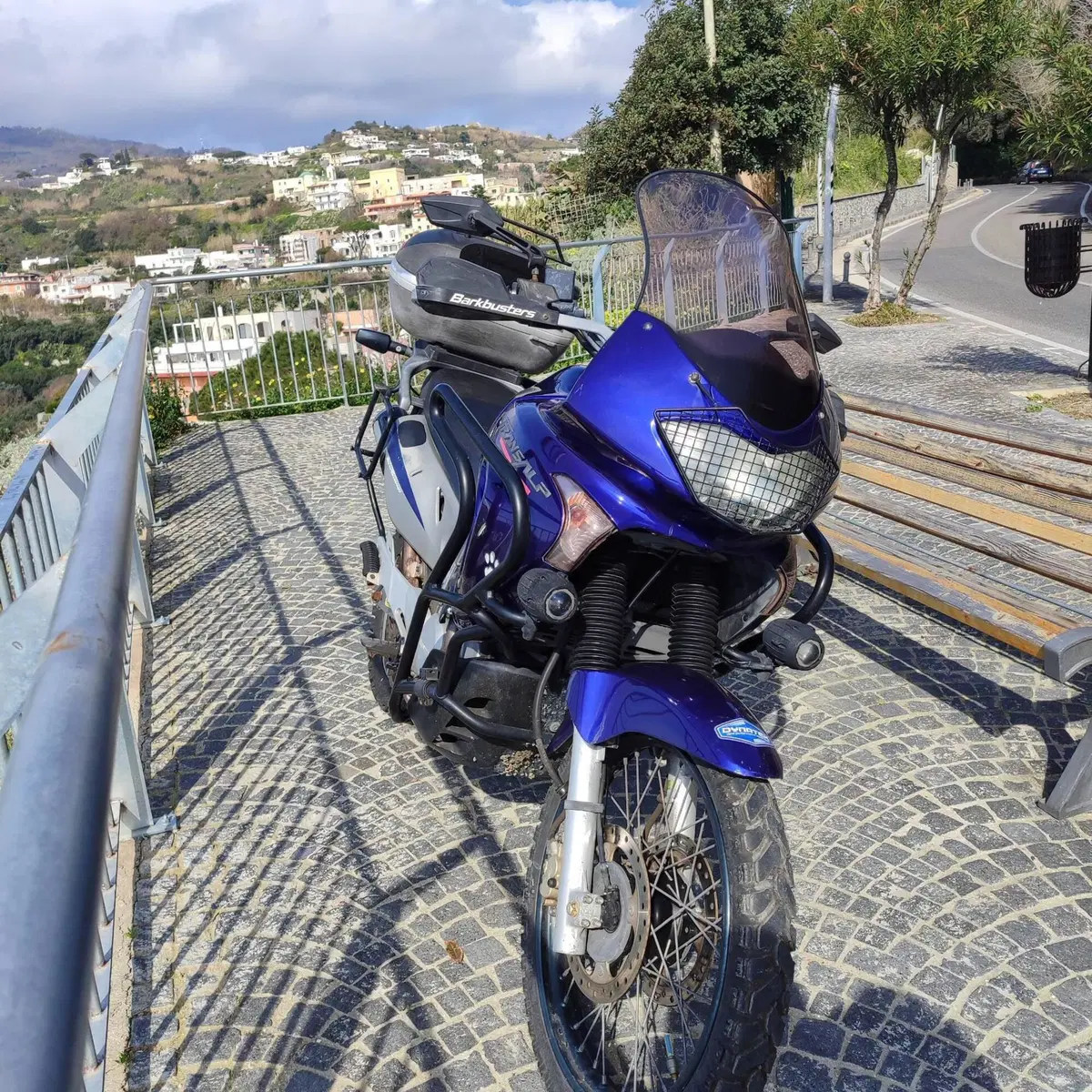 Honda Transalp XL 650V (2005 - 06) (10)