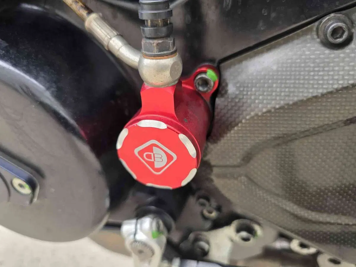 Ducati Streetfighter (2009 - 12) (43)
