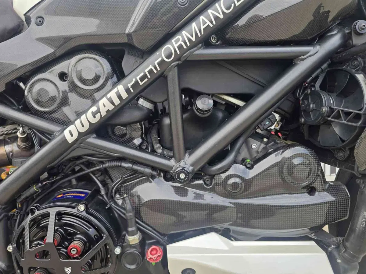 Ducati Streetfighter (2009 - 12) (24)