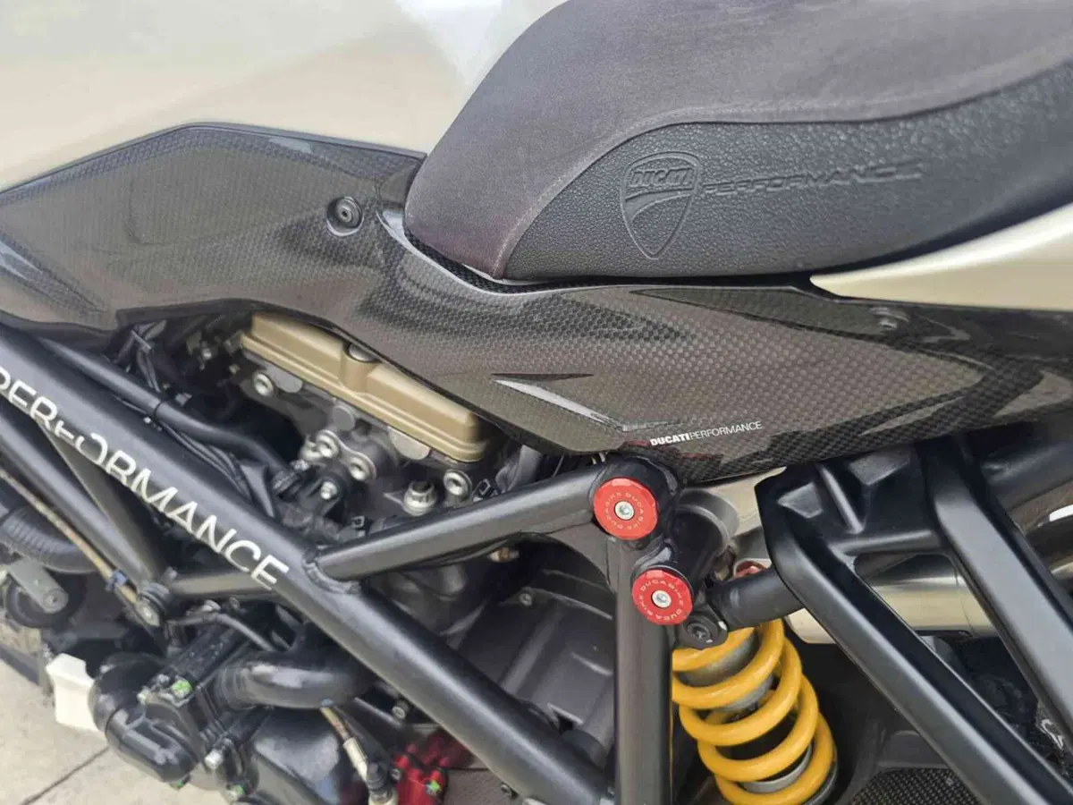 Ducati Streetfighter (2009 - 12) (16)