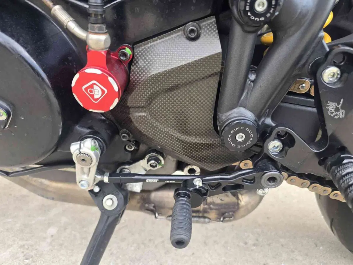 Ducati Streetfighter (2009 - 12) (19)