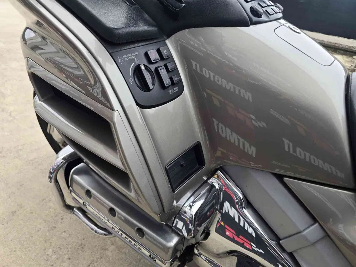 Honda GL 1800 Gold Wing (2000 - 05) (21)