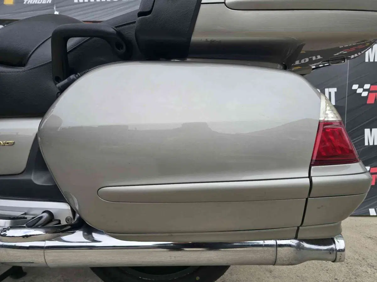 Honda GL 1800 Gold Wing (2000 - 05) (11)