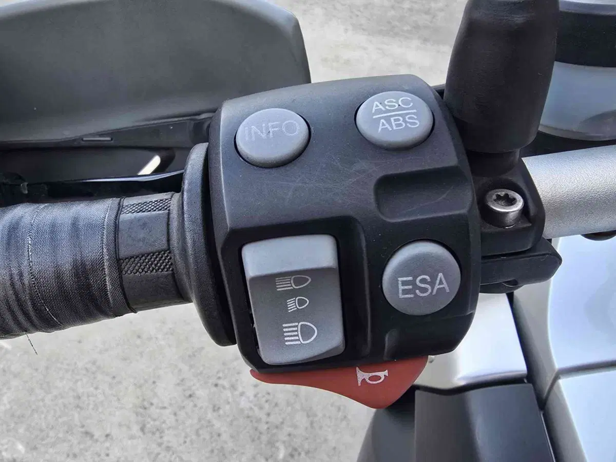 Bmw R 1200 GS (2008 - 09) (10)