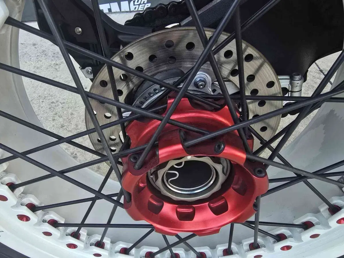 MV Agusta Dragster 800 RR (2018 - 20) (17)