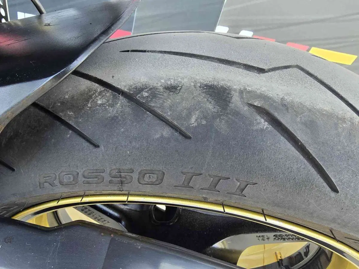 Honda CBR 1000 RR Fireblade (2006 - 07) (19)