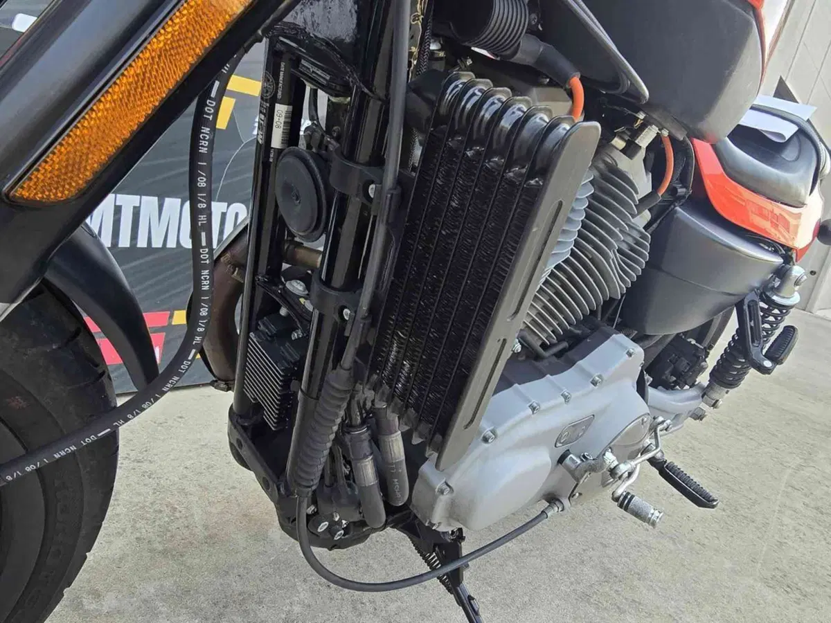 Harley-Davidson 1200 XR (2009 - 12) (22)
