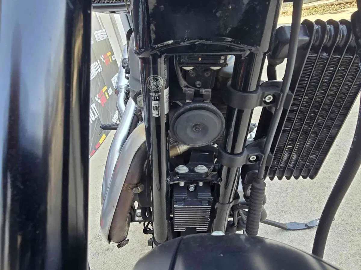 Harley-Davidson 1200 XR (2009 - 12) (23)