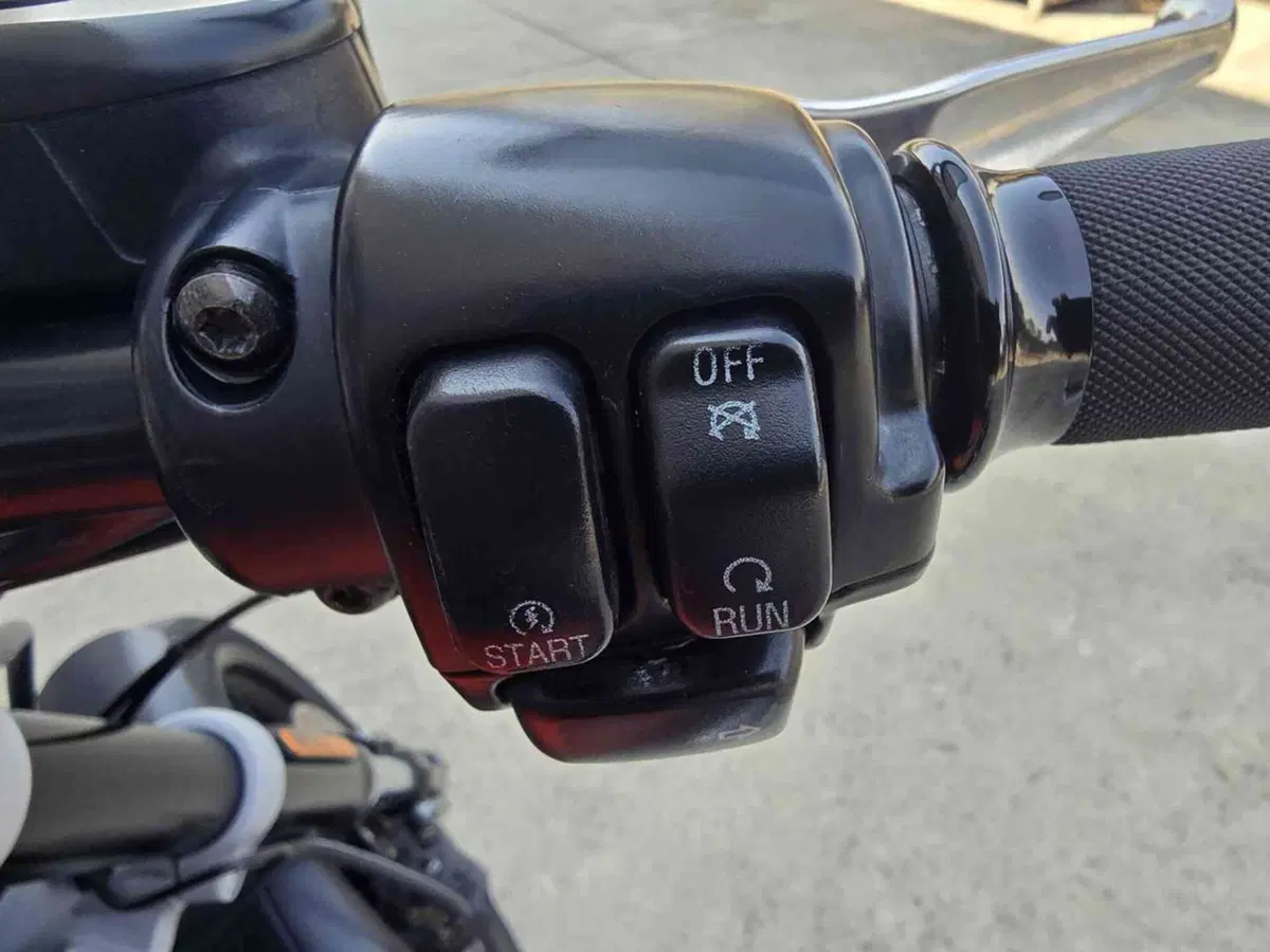 Harley-Davidson 1200 XR (2009 - 12) (10)