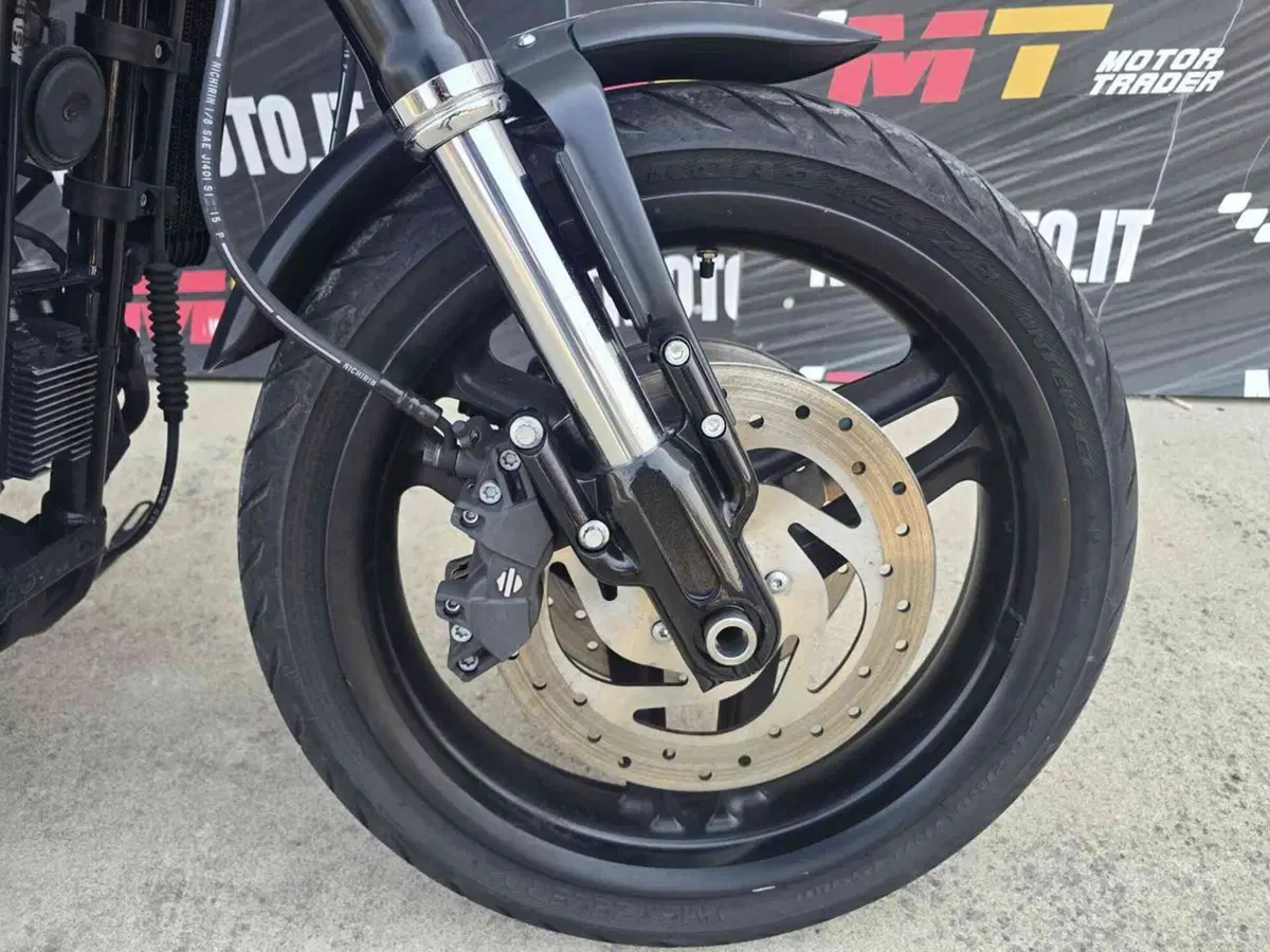 Harley-Davidson 1200 XR (2009 - 12) (12)