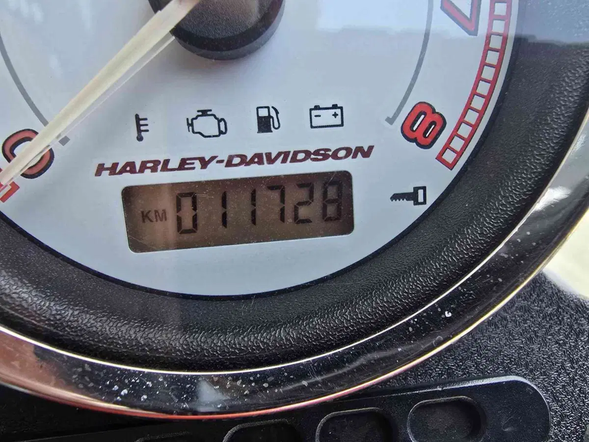 Harley-Davidson 1200 XR (2009 - 12) (33)