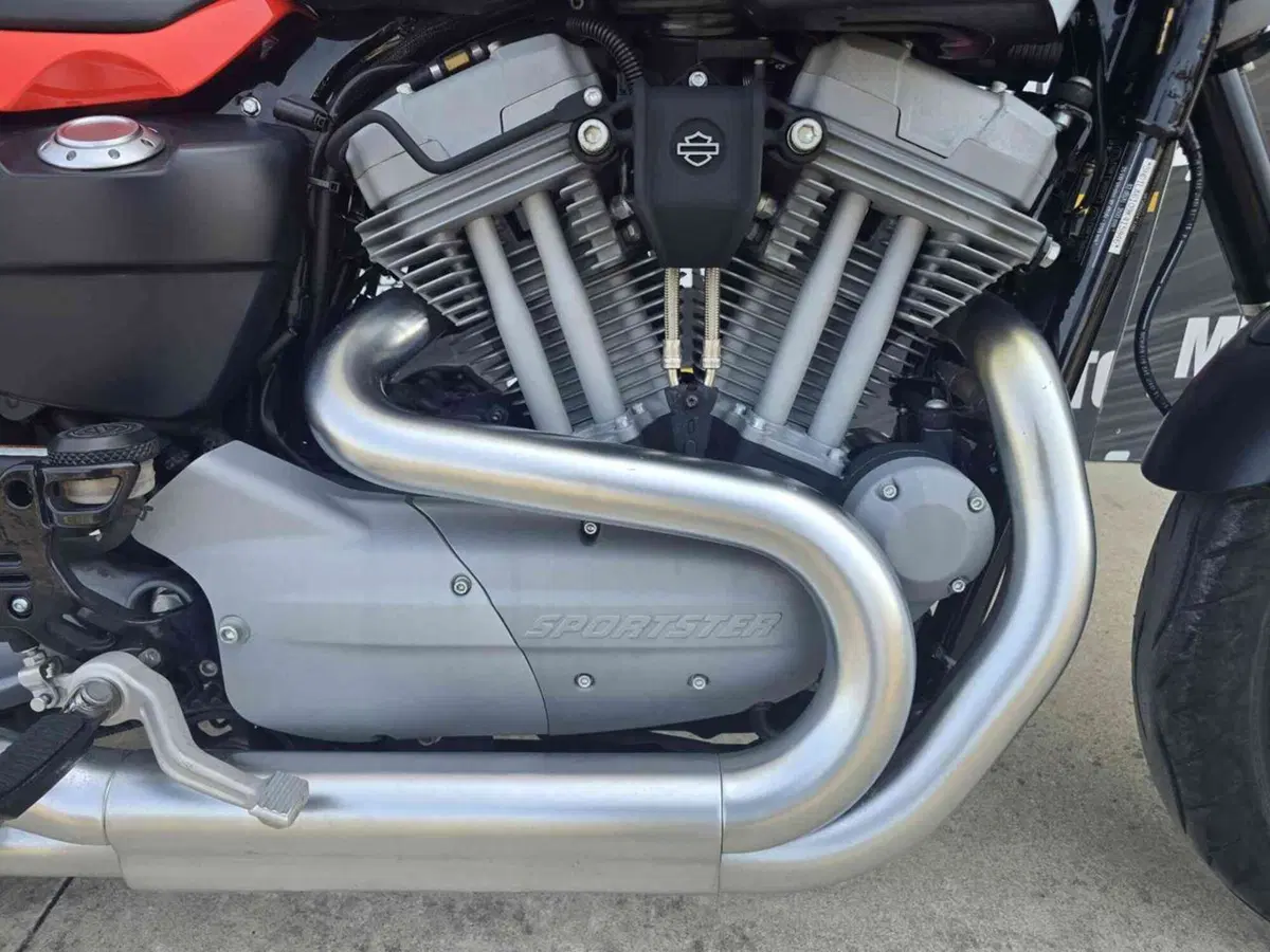 Harley-Davidson 1200 XR (2009 - 12) (19)