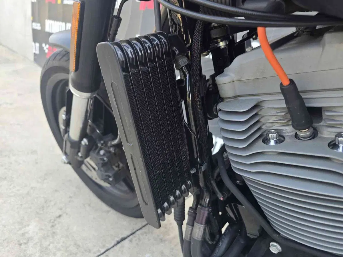 Harley-Davidson 1200 XR (2009 - 12) (21)