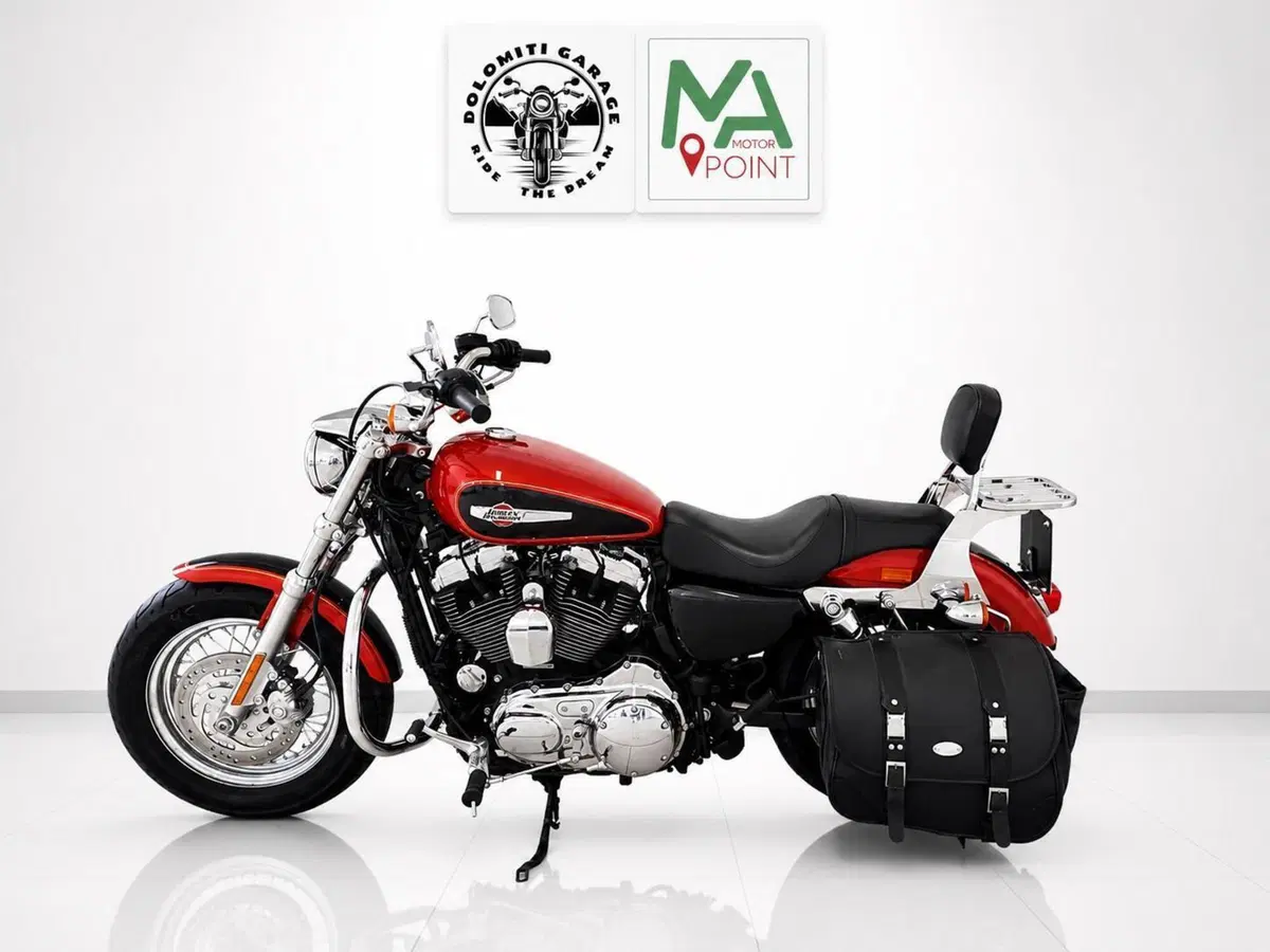 Harley-Davidson 1200 Custom (2007 - 13) - XL 1200C (2)
