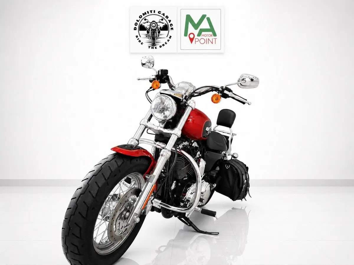 Harley-Davidson 1200 Custom (2007 - 13) - XL 1200C (3)