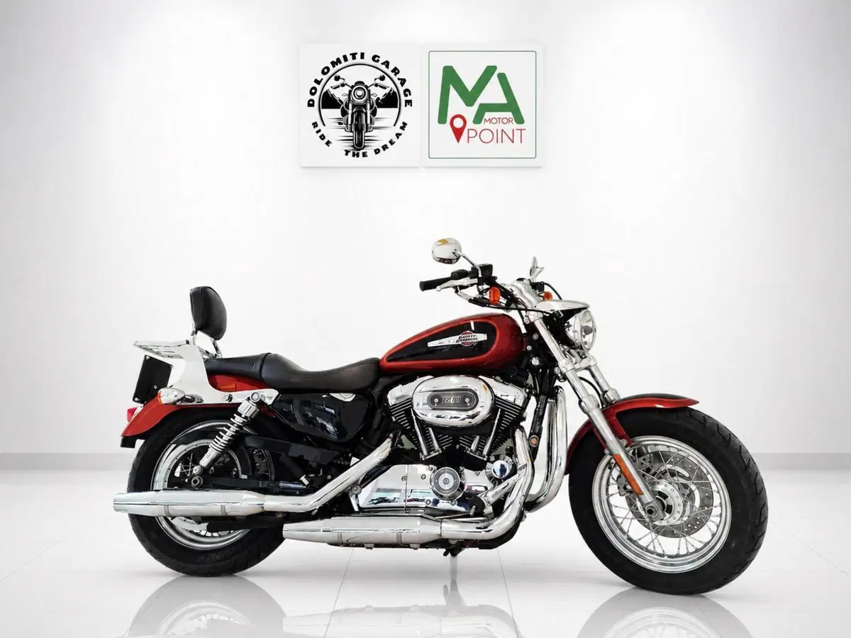 Harley-Davidson 1200 Custom (2007 - 13) - XL 1200C (4)