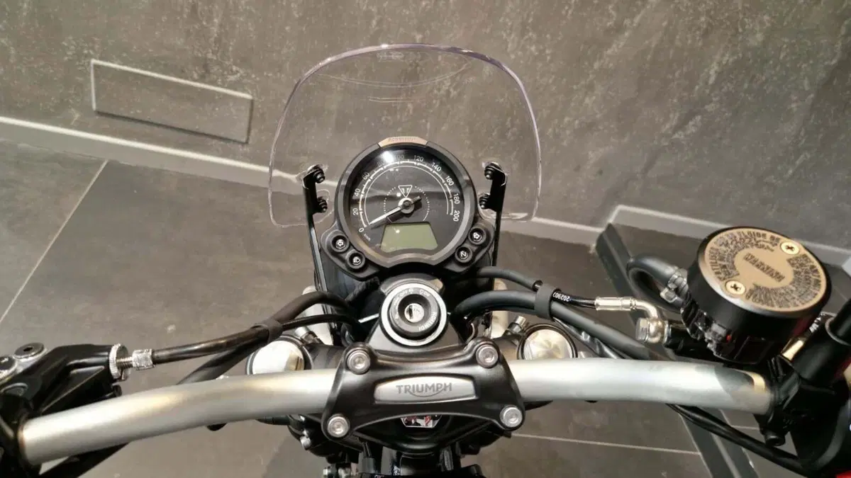 Triumph Scrambler 900 Icon Edition (2025 - 26) (11)