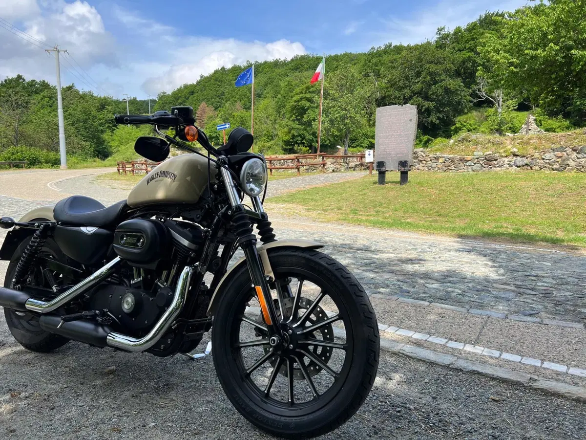 Harley-Davidson 883 Iron (2014 - 16) - XL 883N