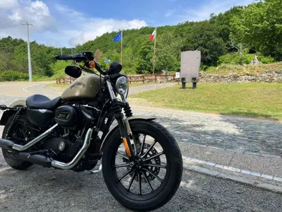 Harley-Davidson 883 Iron (2014 - 16) - XL 883N usata