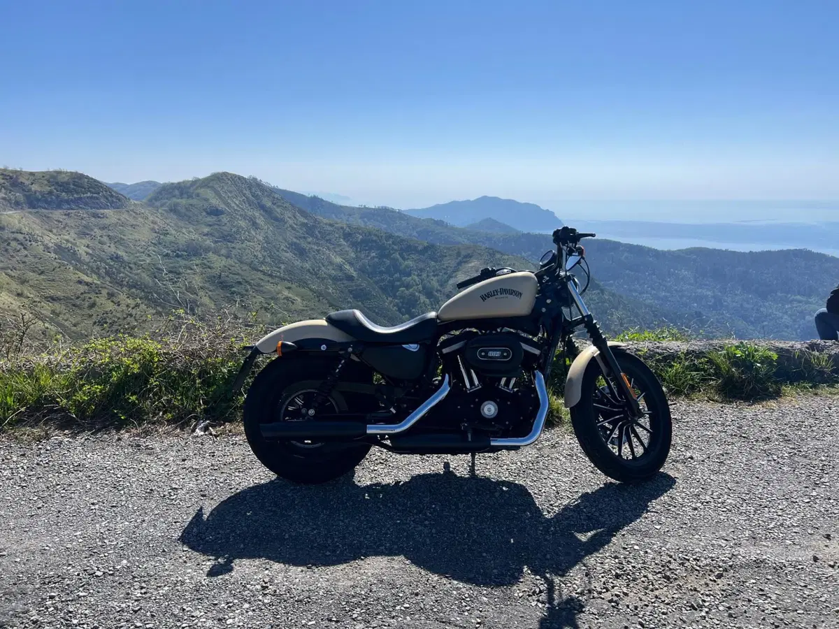 Harley-Davidson 883 Iron (2014 - 16) - XL 883N (2)