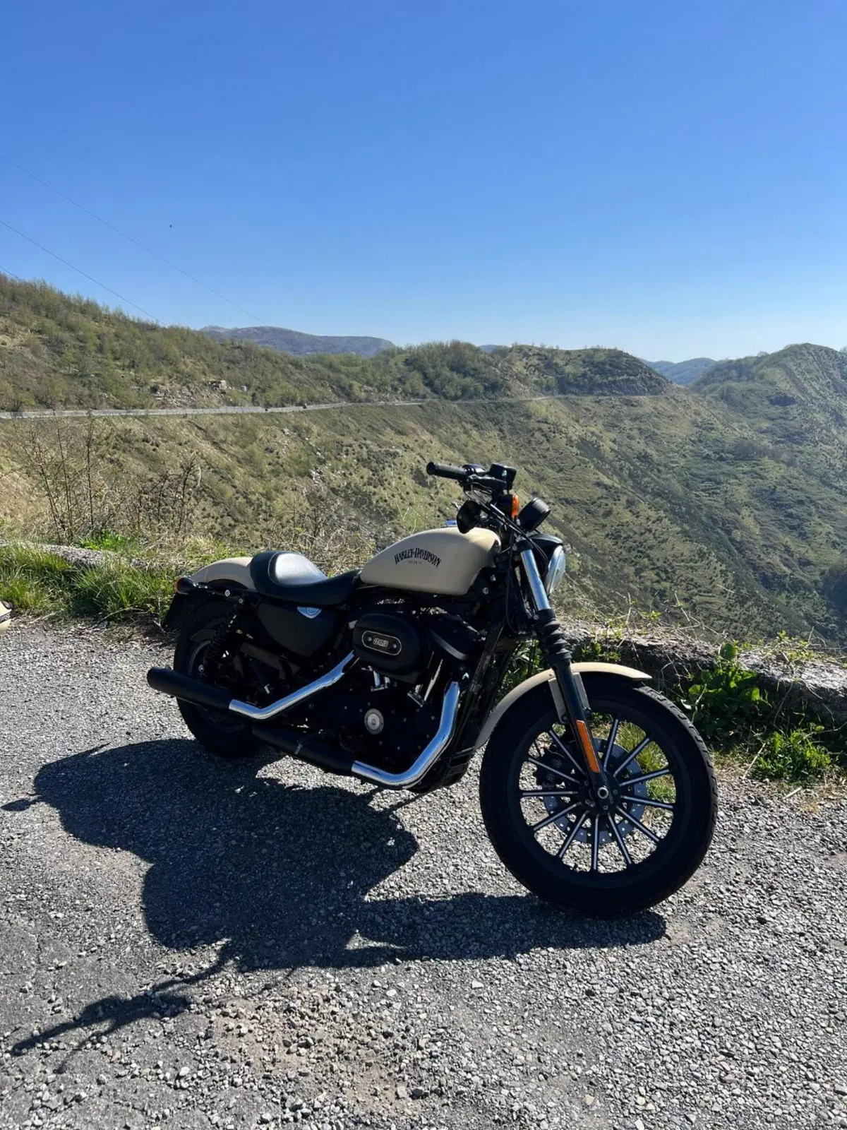 Harley-Davidson 883 Iron (2014 - 16) - XL 883N (3)