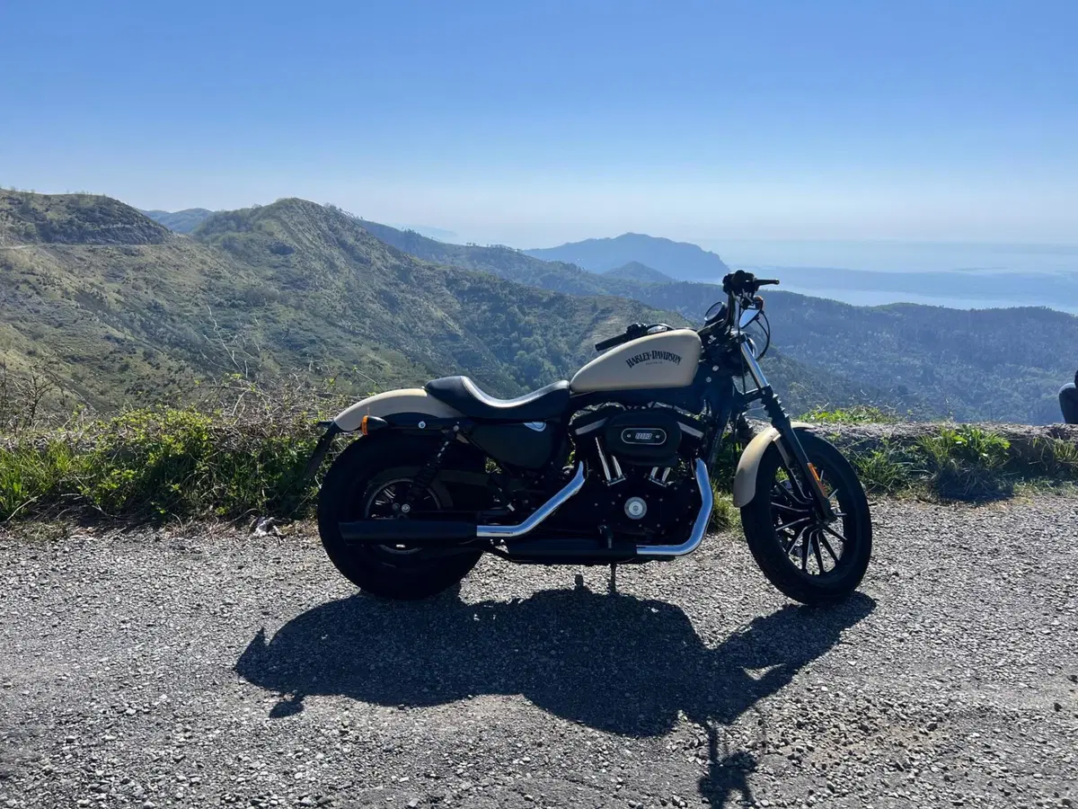 Harley-Davidson 883 Iron (2014 - 16) - XL 883N (4)