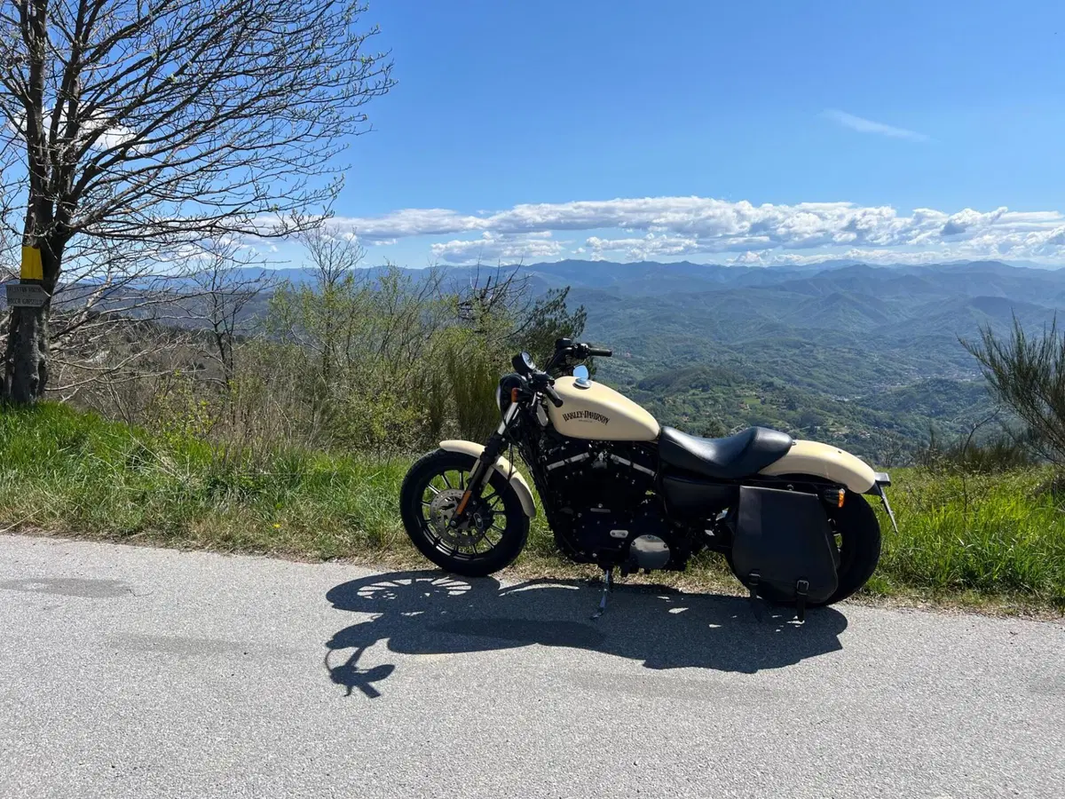 Harley-Davidson 883 Iron (2014 - 16) - XL 883N (5)