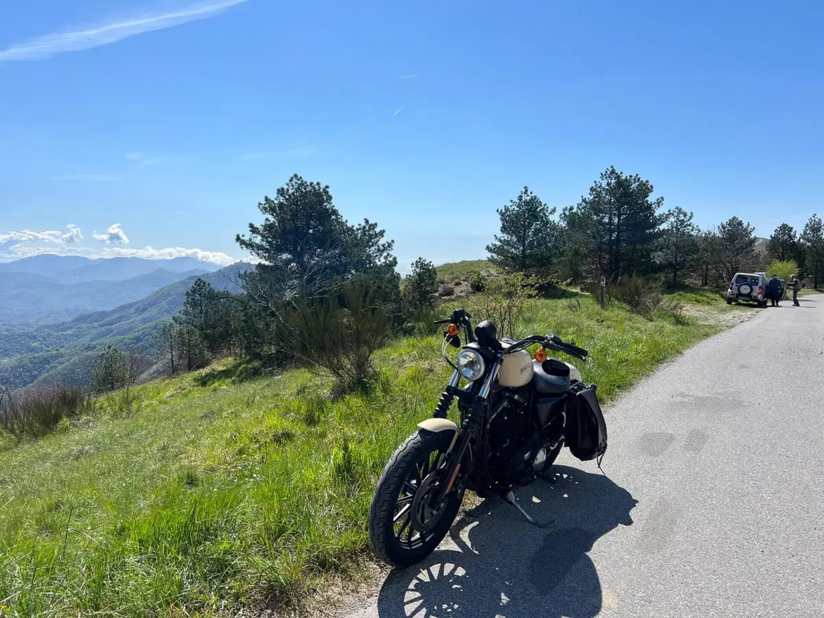 Harley-Davidson 883 Iron (2014 - 16) - XL 883N (6)