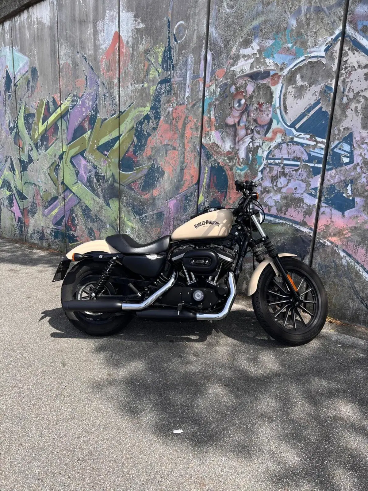 Harley-Davidson 883 Iron (2014 - 16) - XL 883N (7)