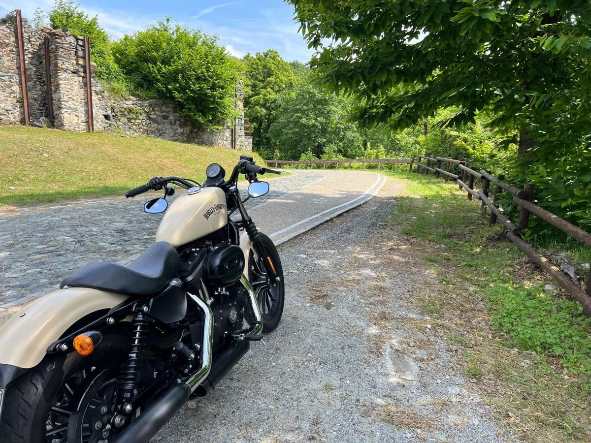 Harley-Davidson 883 Iron (2014 - 16) - XL 883N (8)