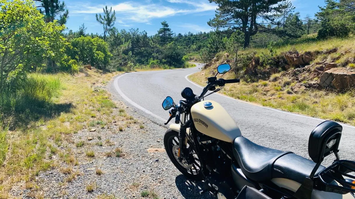 Harley-Davidson 883 Iron (2014 - 16) - XL 883N (9)