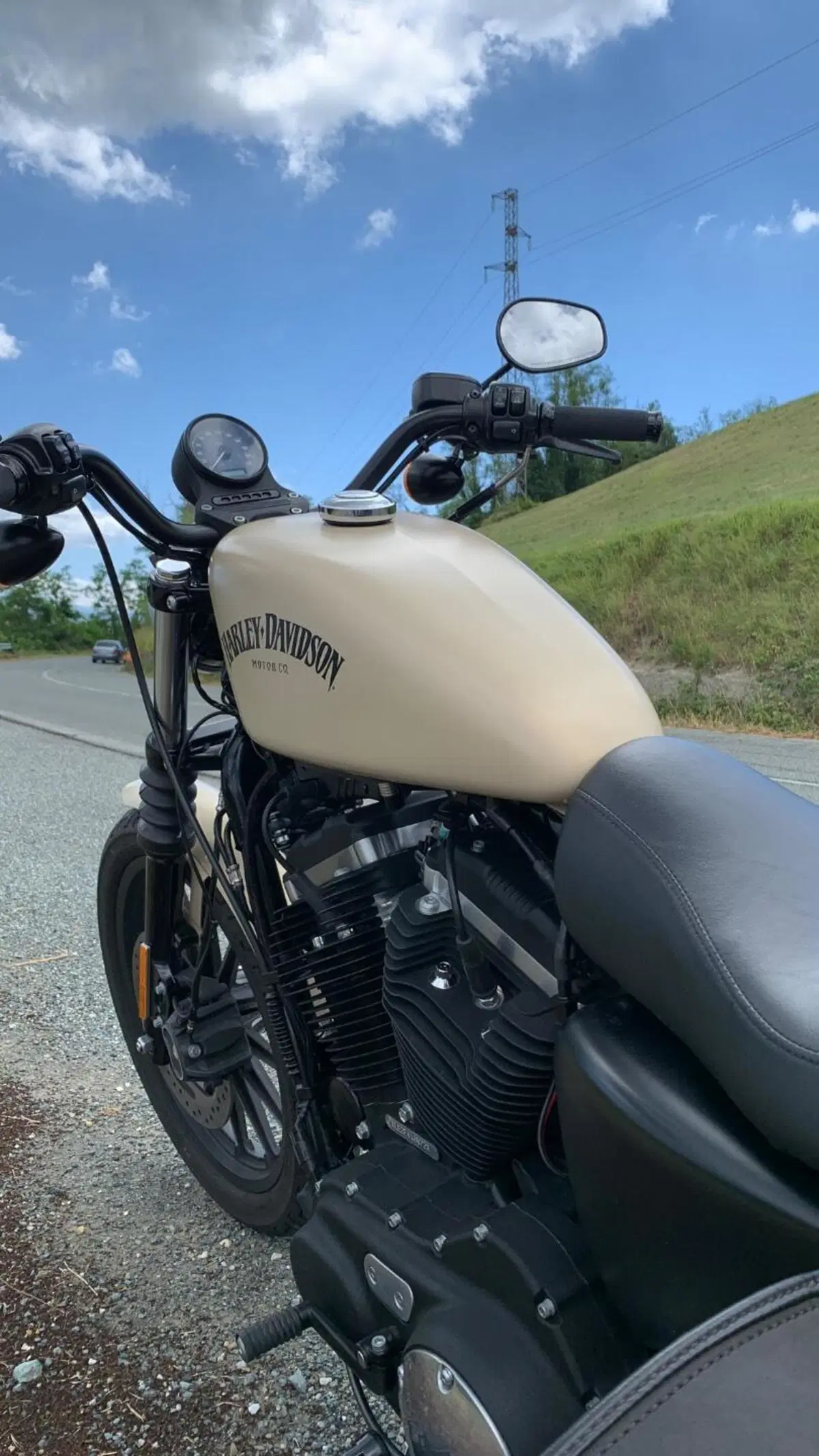 Harley-Davidson 883 Iron (2014 - 16) - XL 883N (10)