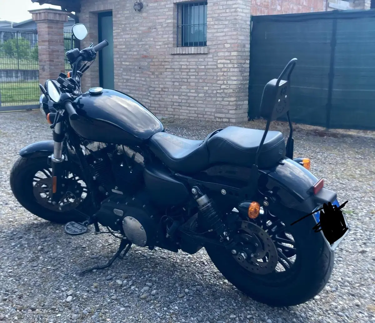 Harley-Davidson 1200 Forty-Eight Special (2018 - 20) (10)