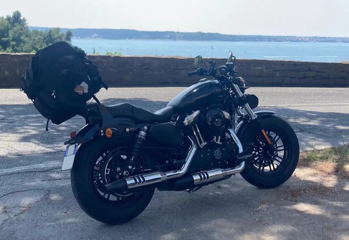Harley-Davidson 1200 Forty-Eight Special (2018 - 20) (13)